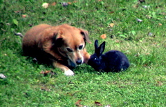 DSC01048.JPG
