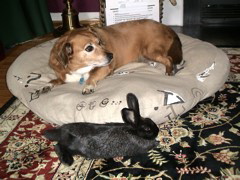 DSC01074.JPG
