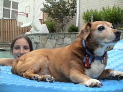 DSC01452.JPG