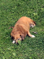 DSC00929.JPG