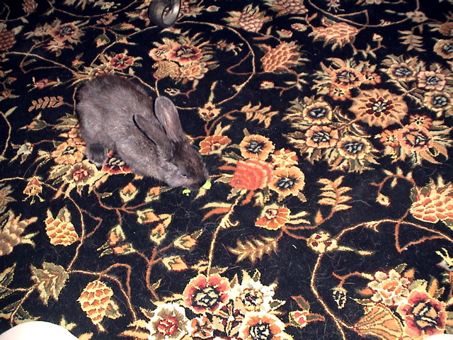 DSC01042.JPG