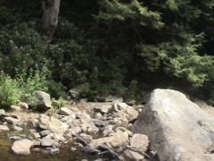 DSC00925.JPG