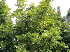 DSC01805.JPG