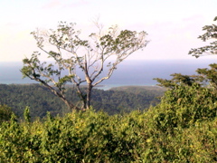 DSC01806.JPG