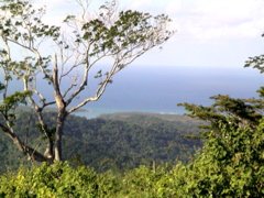 DSC01809.JPG