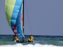 DSC01833.JPG