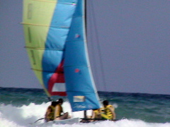 DSC01834.JPG