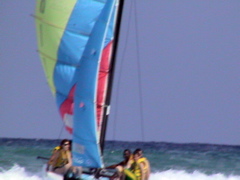 DSC01835.JPG