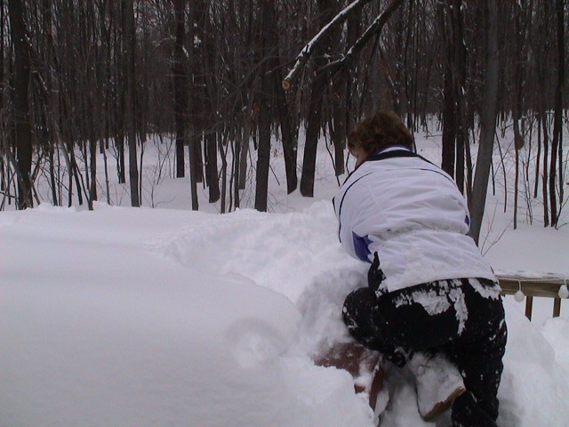 DSC00026.JPG